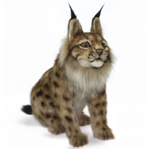 Eurasian Lynx Soft Toy by Hansa